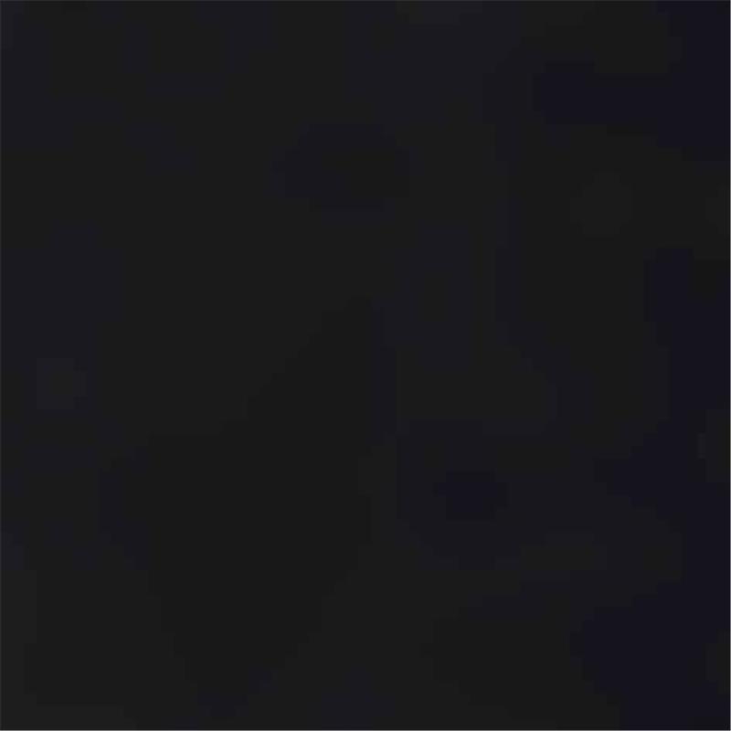 Tajice WT Long Tights Regular black