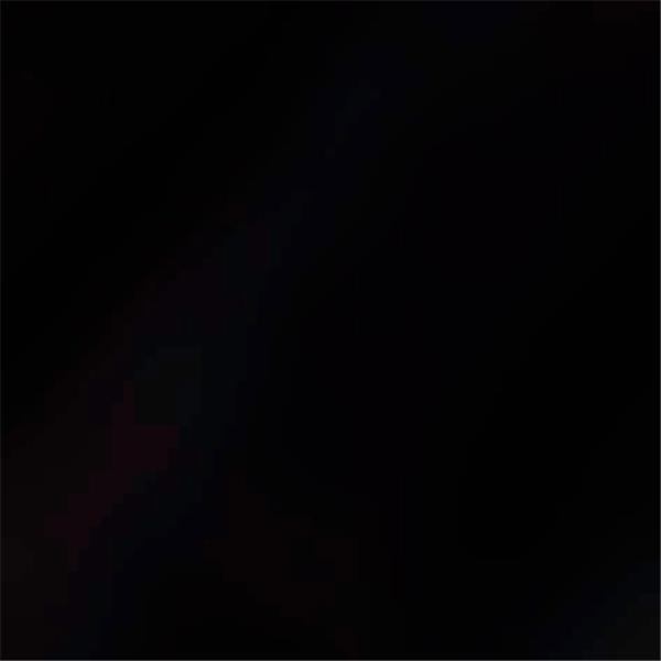 Čarape FALKE Cotton Step black