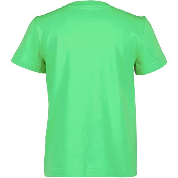 Dječja majica MYNTA KIDS T-SHIRT 2 Frog Gr